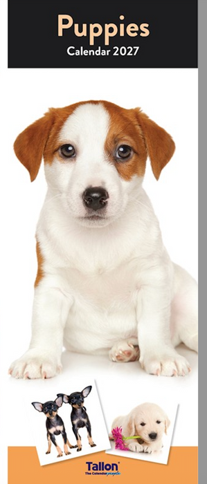 Tallon 2027 Calendar Super Slim Dogs and Puppies