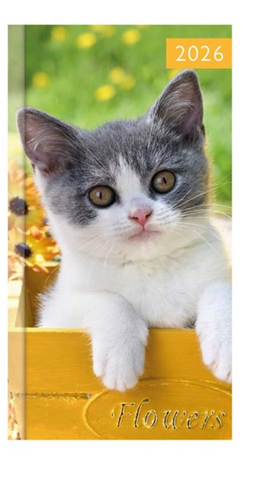 Tallon 2026 Diary Slim Week To View Photo Kitten & Puppy