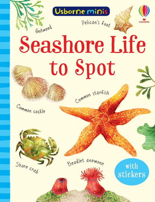 Usborne Minis Seashore Life To Spot Book