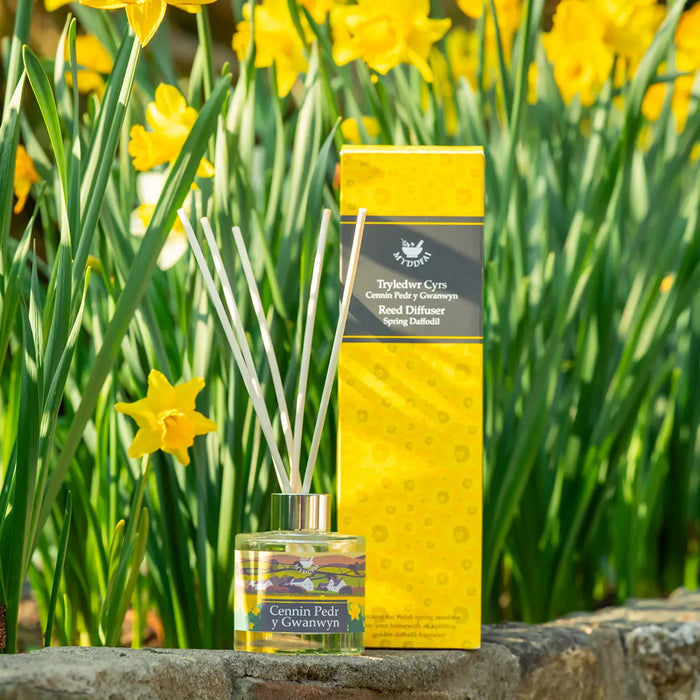 MYDDFAI Reed Diffuser Cennin Pedr y Gwanwyn (Spring Daffodil)