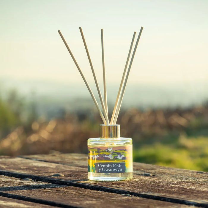 MYDDFAI Reed Diffuser Cennin Pedr y Gwanwyn (Spring Daffodil)