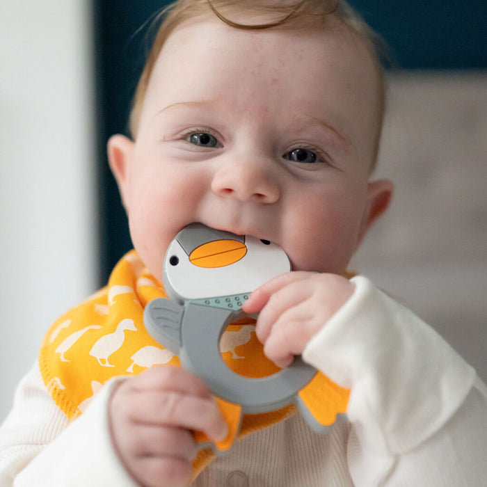 Ziggle Penguin Silicone Teether