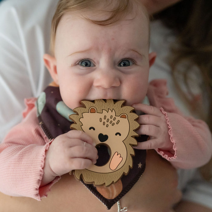Ziggle Hedgehog Teether Silicone