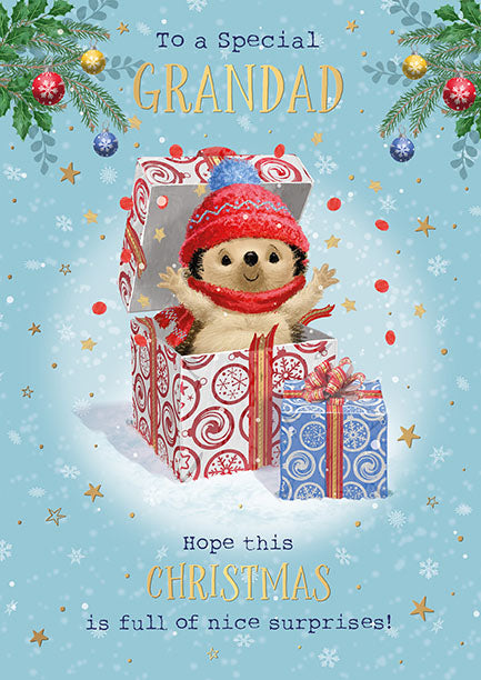 Words N Wishes 'To A Special Grandad' Christmas Card
