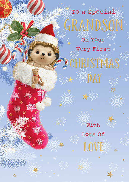 Words N Wishes 'To A Special Grandson 1st Christmas' Christmas Card