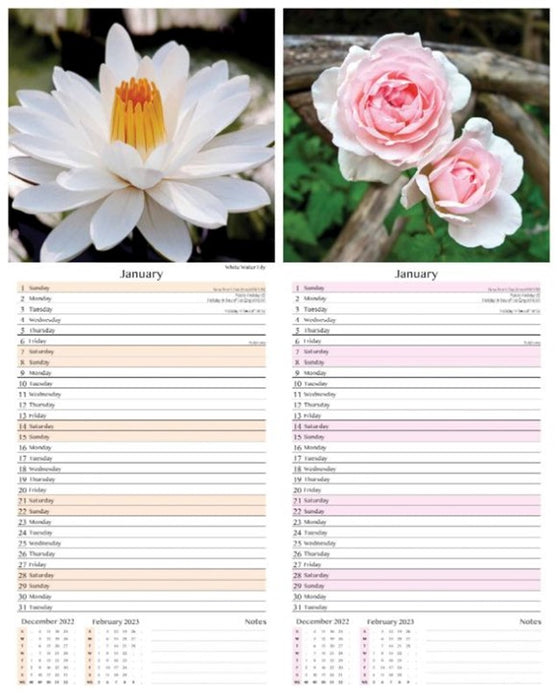 Tallon 2026 Calendar Super Slim Flowers & Roses