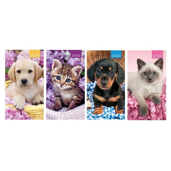 Tallon 2026 Diary Slim 2 Week To View Photo Kitten & Puppy