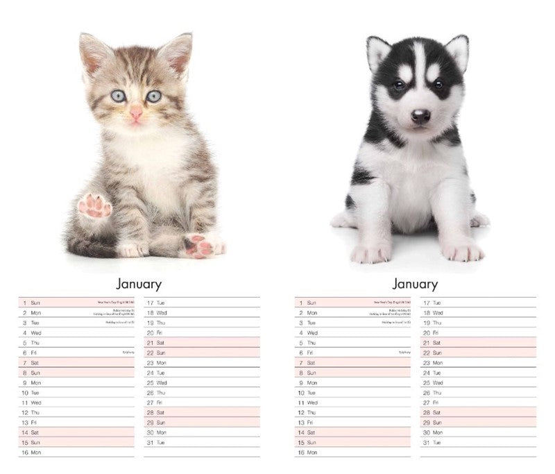 Tallon 2026 Midi Calendar Kittens and Puppies