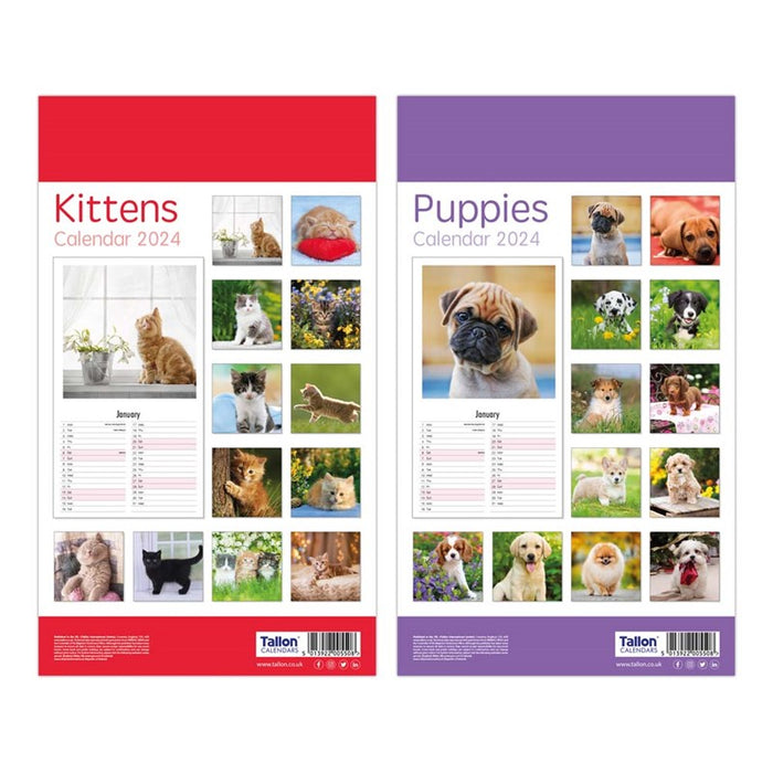 Tallon 2026 Midi Calendar Kittens and Puppies