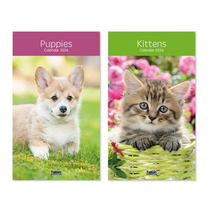 Tallon 2026 Midi Calendar Kittens and Puppies