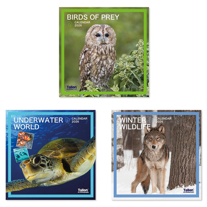 Tallon 2026 Square Calendar Wildlife