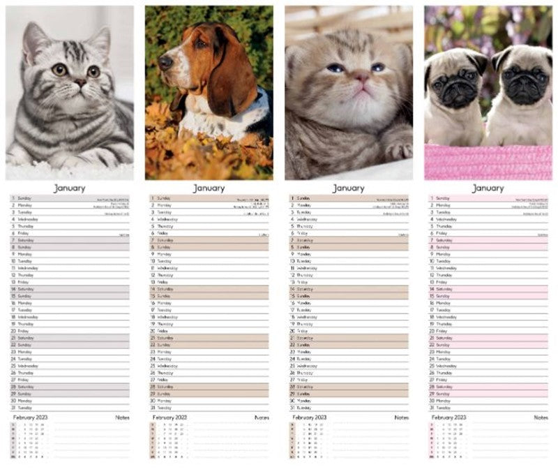 Tallon Slim Calendar 2026