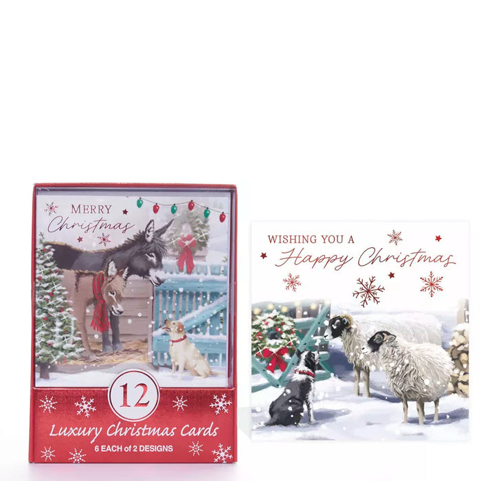 Tiger Feet Boxed 12 Luxury Christmas Cards - Christmas Animals