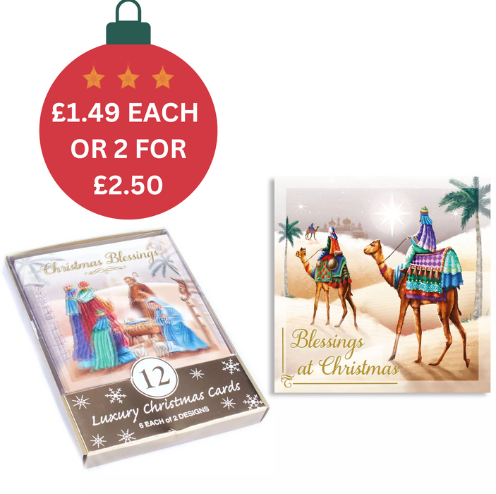 Tiger Feet Boxed 12 Luxury Christmas Cards - Nativity