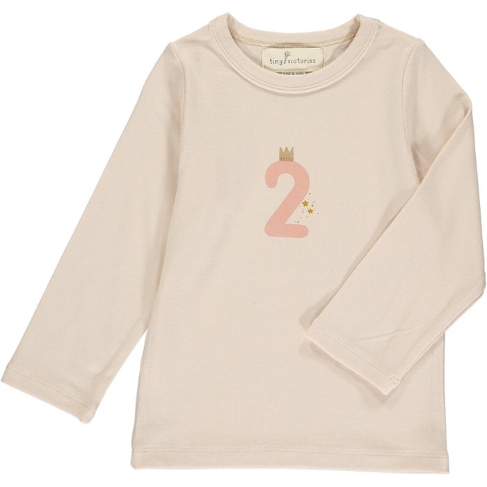 Tiny Victories Pink 2nd Birthday Party Numbers T-shirt