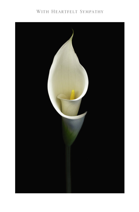 UKG Heartfelt Sympathy Card