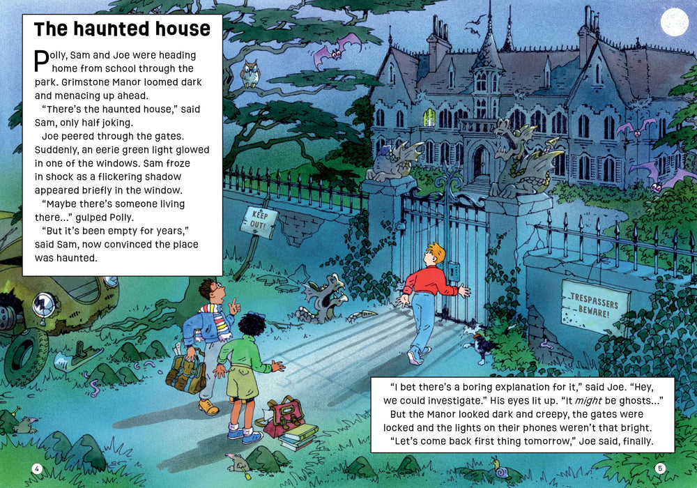 Usborne The Ghost in the Mirror