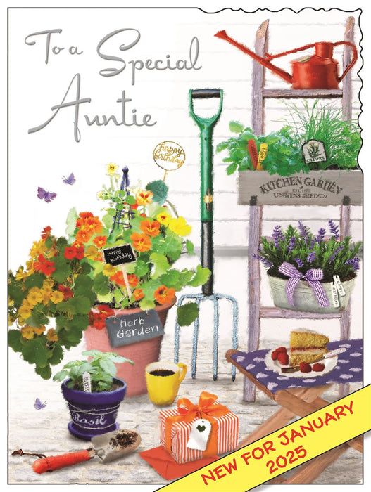Jonny Javelin 'To A Special Auntie' Birthday Card