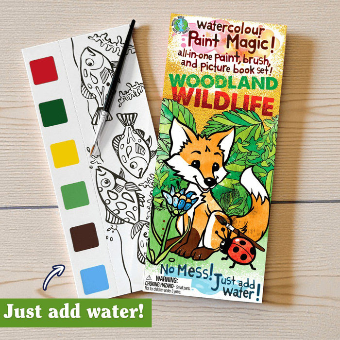 House Of Marbles Paint Magic - Woodland Wildlife