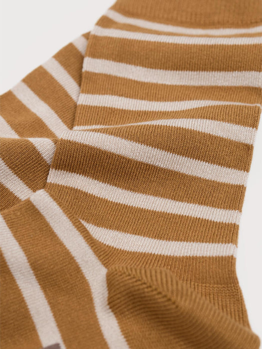 Seasalt Women's Sailor Socks In Breton Pear