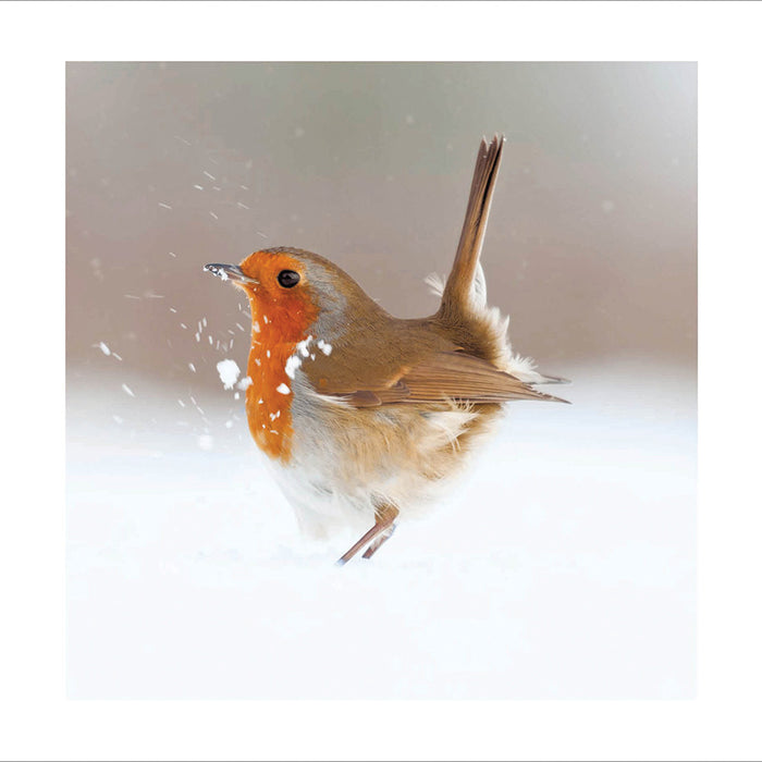 Woodmansterne 'Festive Visitor' Christmas Card