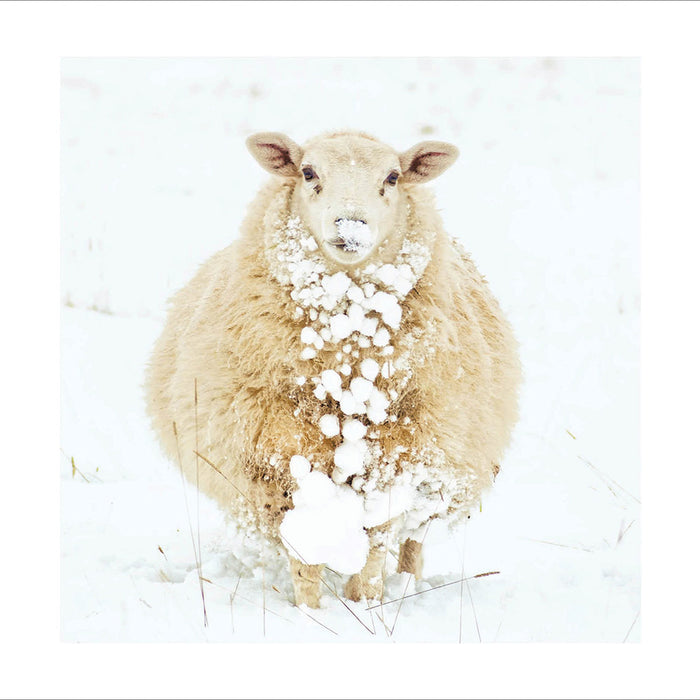 Woodmansterne 'Wintertime' Christmas Card
