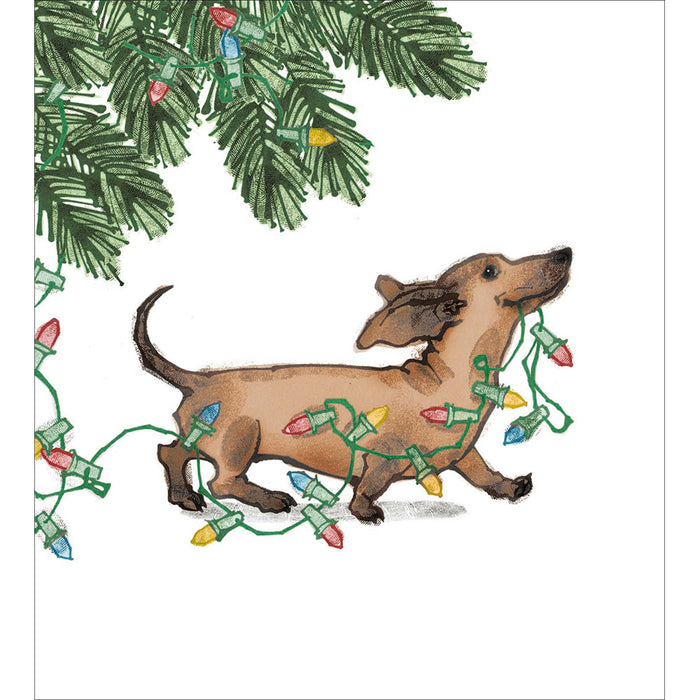 Woodmansterne Dashing Dachshund 5 Pack Christmas Cards