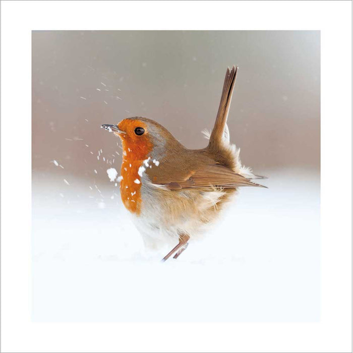 Woodmansterne Snow Bird Christmas Card