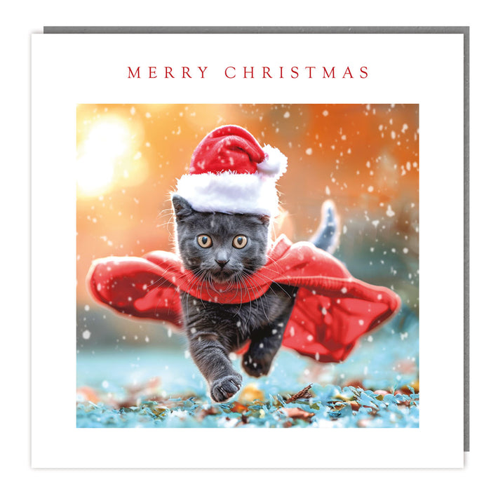 Tracks Publishing 'The Xmas Cat' Christmas Card Pack
