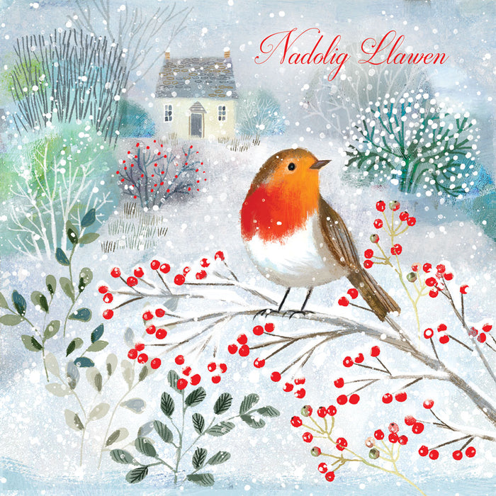 Tracks Publishing 'Robin On A Branch' Welsh Christmas Card Pack