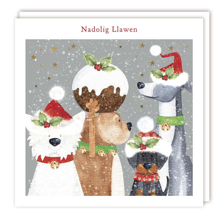 Tracks Publishing 'Got The Pudding' Welsh Christmas Card Pack