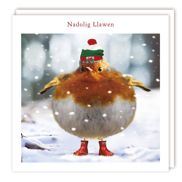 Tracks Publishing 'Robin Pud' Welsh Christmas Card Pack