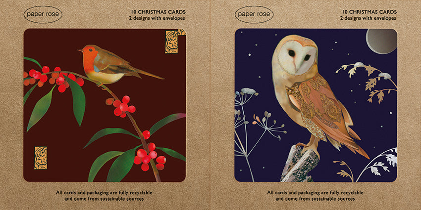Paper Rose 'Robin & Owl Winter Scenes' Boxed Christmas Cards