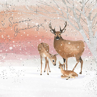 Paperlink 'Family Of Deer' Pack Of 6 Charity Christmas Card