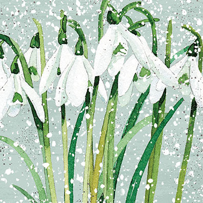 Paperlink 'Festive Snowdrops' Pack Of 6 Charity Christmas Card