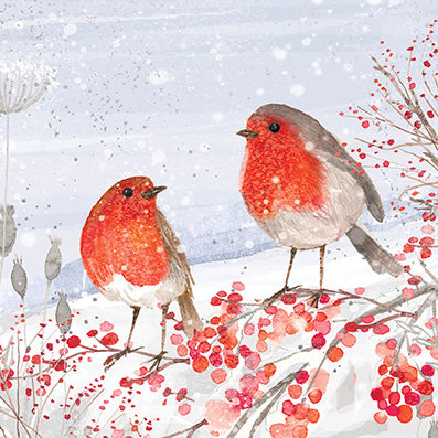 Paperlink 'Robins With Holly Berry' Pack Of 6 Charity Christmas Card