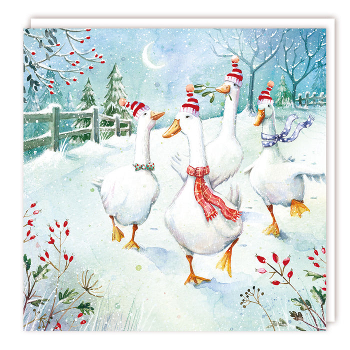 Tracks Publishing 'Geese In Hats' Christmas Card 5 Pack