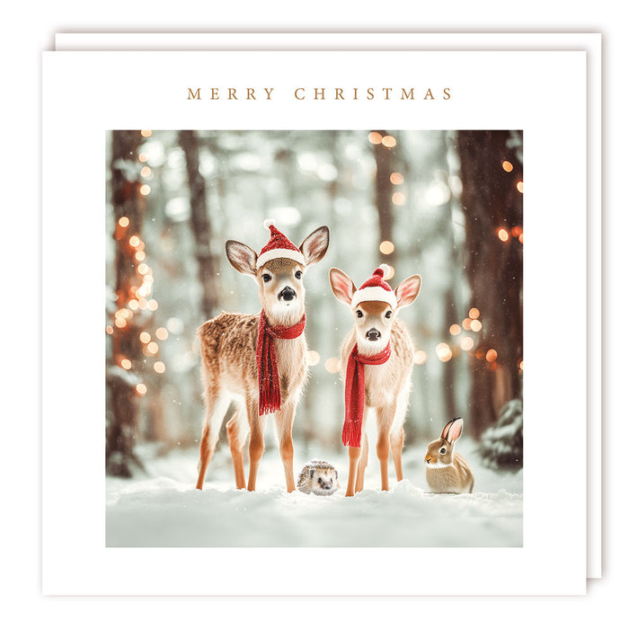 Tracks Publishing 'Deer's & Rabbits' Christmas Card 5 Pack