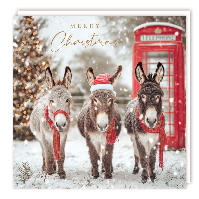 Tracks Publishing '3 Christmas Donkeys' Christmas Card 5 Pack