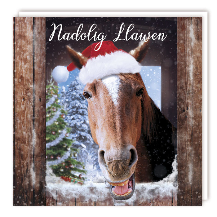 Tracks Publishing 'Welsh Horse In Hat' Welsh Christmas Cards