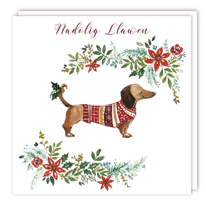 Tracks Publishing 'Sausage Dog In Jumper' Welsh Christmas Card
