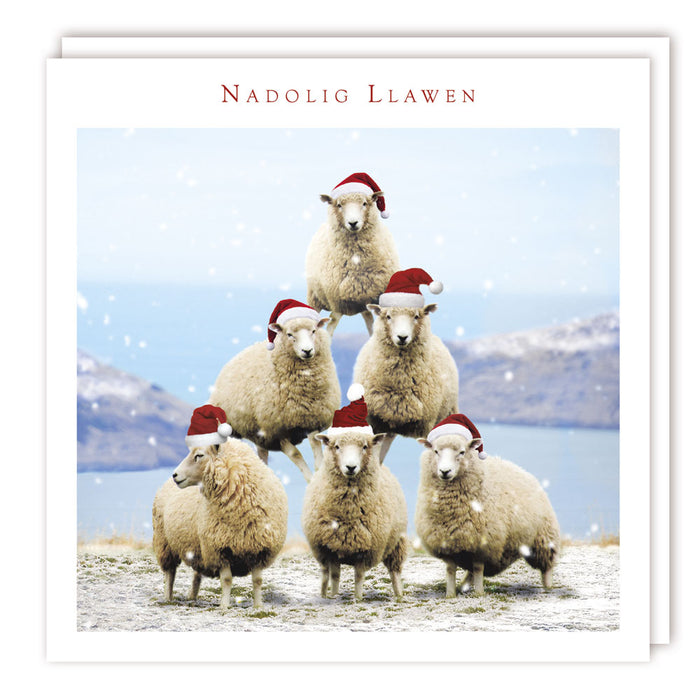 Tracks Publishing 'Sheep Tower' Welsh Christmas Card