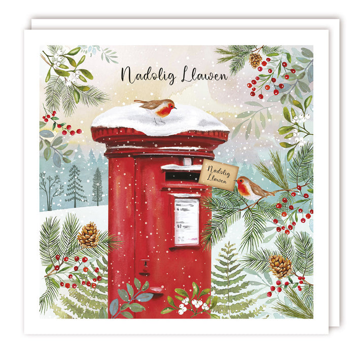Tracks Publishing 'Letter From Robin' Welsh Christmas Card