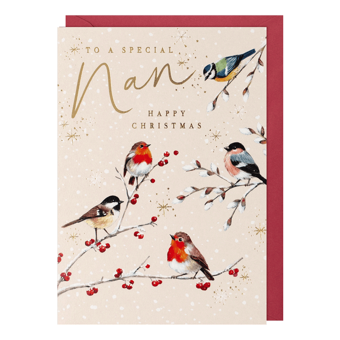 Paperlink 'To A Special Nan' Christmas Card