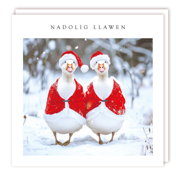 Tracks Publishing 'Welsh Nadolig Llawen Dressed Geese' Christmas Card