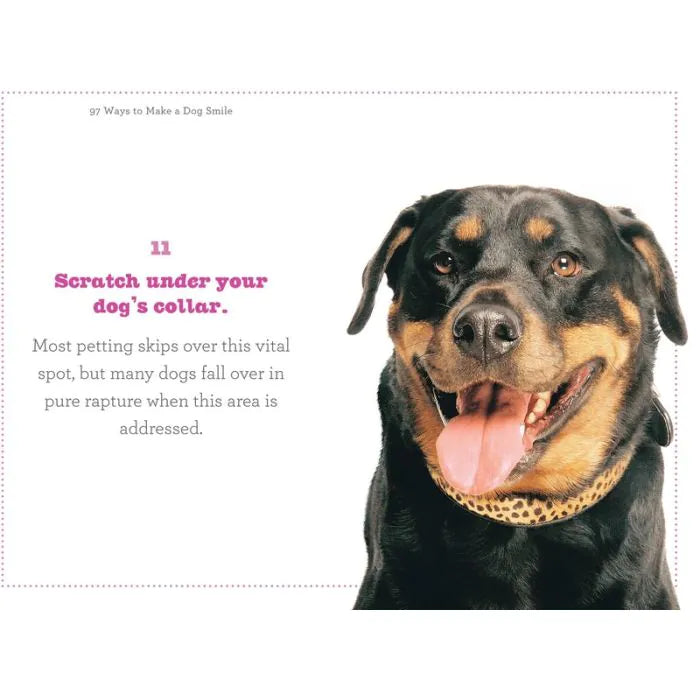 Boxer 97 Ways To Make A Dog Smile