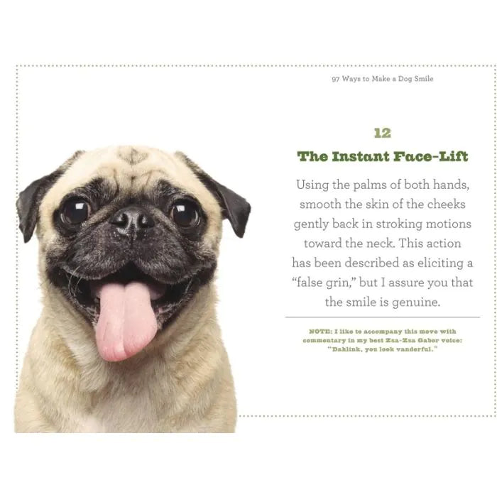 Boxer 97 Ways To Make A Dog Smile