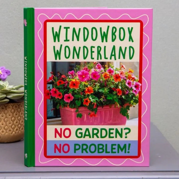 Boxer Windowbox Wonderland Book