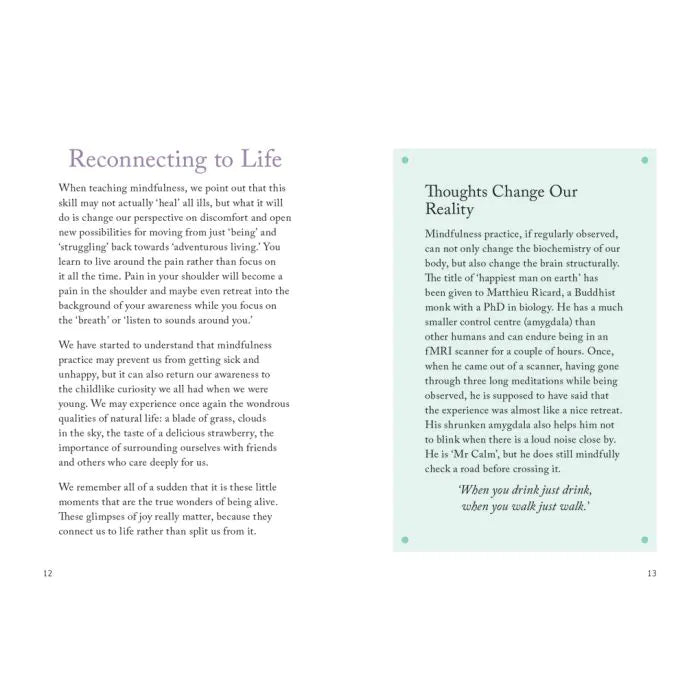 Boxer The Little Book of Mindfulness