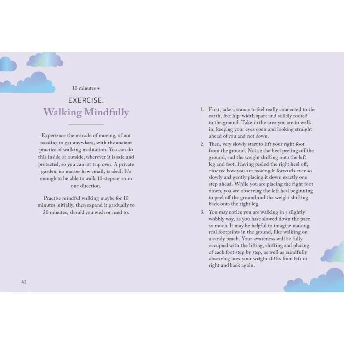Boxer The Little Book of Mindfulness